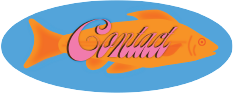 Contact Page